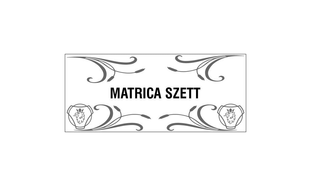 Súprava 4 ks nálepiek pre bočné okná s nákresmi kamiónov