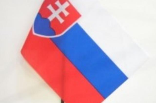 Vlajka s autodržiakom (30x45cm)