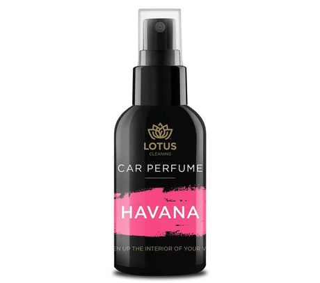 Prémiový autodifuzér s autovôňa 100 ml