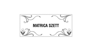 Súprava 4 ks nálepiek pre bočné okná s nákresmi kamiónov