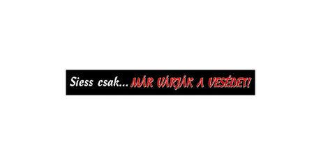 Nálepka Ponáhľaj sa, tvoje obličky ťa už čakajú